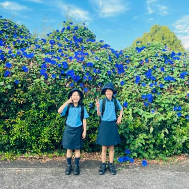 School Days Begin