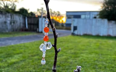 A Bead Tree in Winter