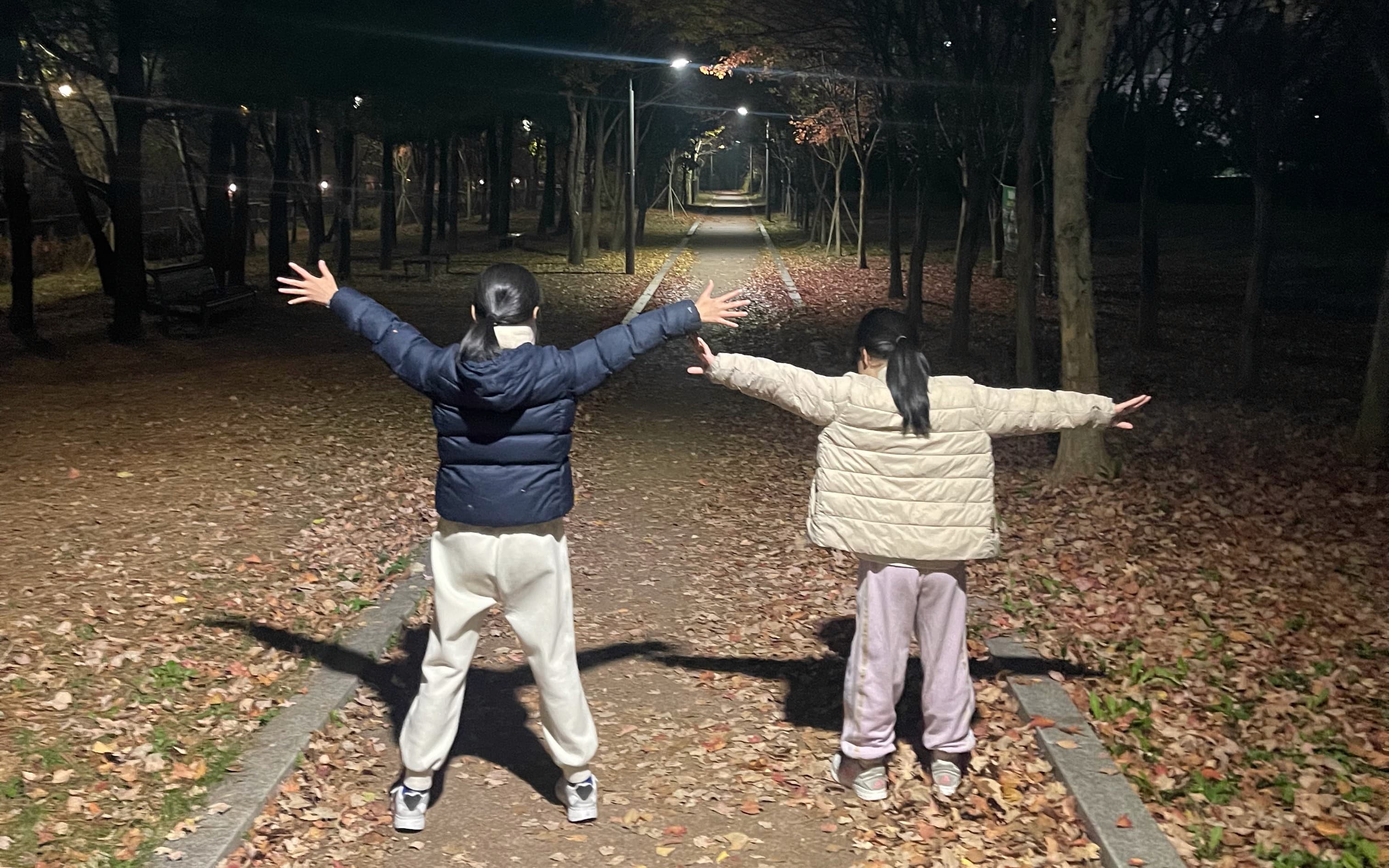 Life Came Without a Manual