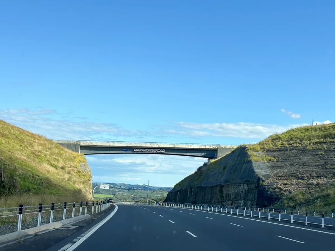 Look, it's New Zealand