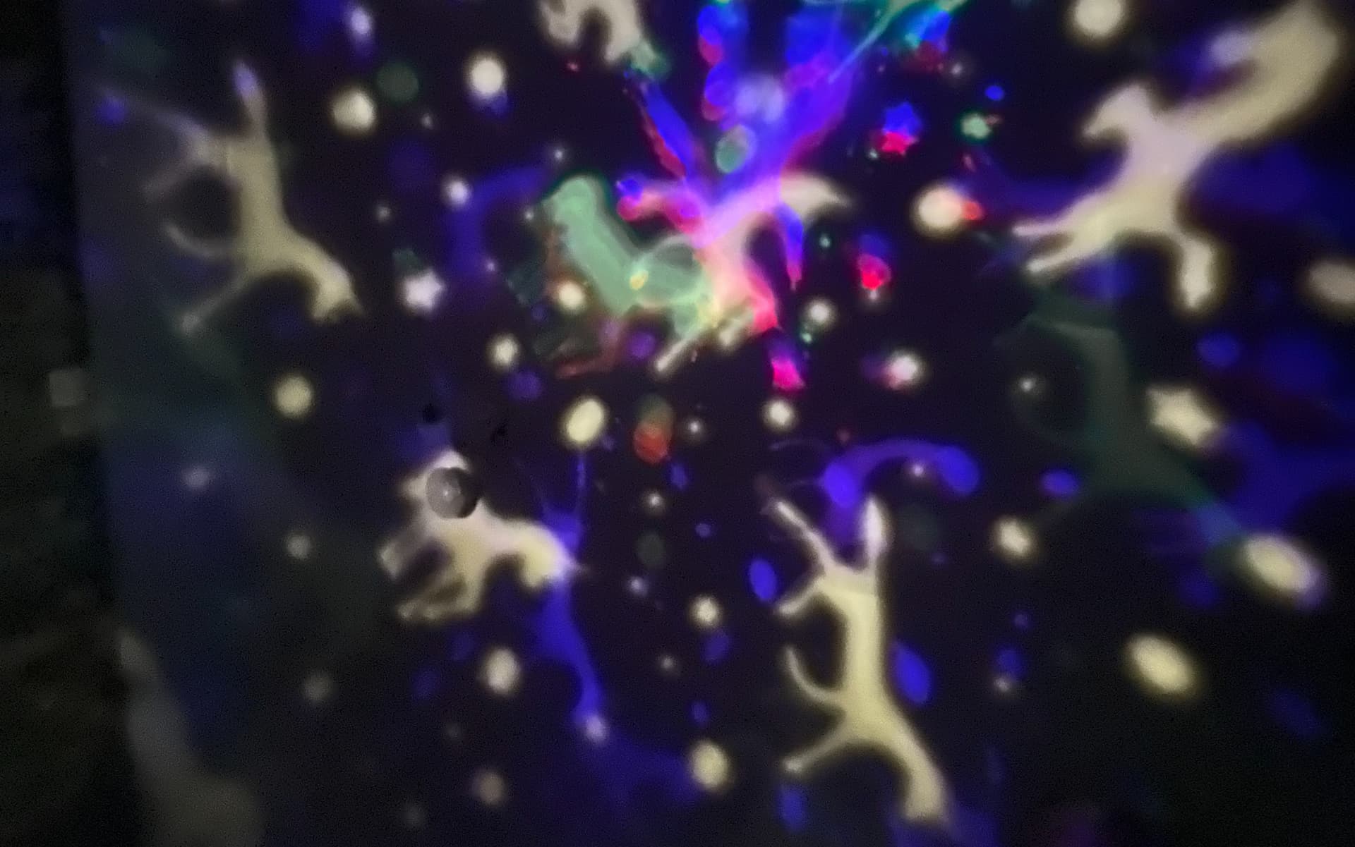 Love You Too, Mummy Monster