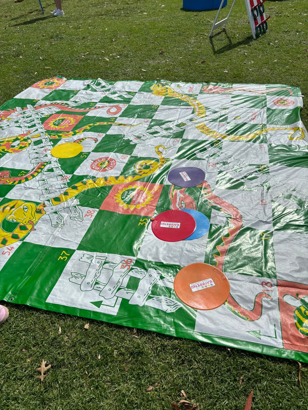 Families in Parks — Summer Fun — photo 2