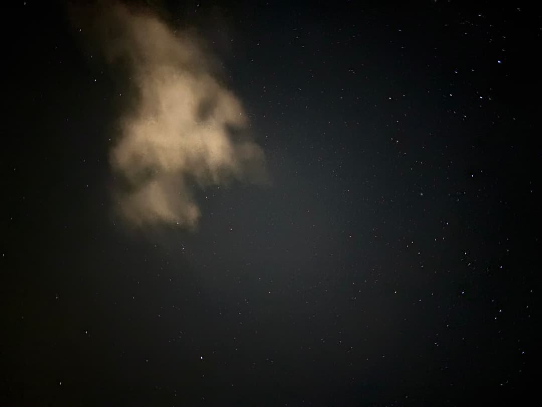 The Fox, the Storm, and the Bread Bowl — photo 1