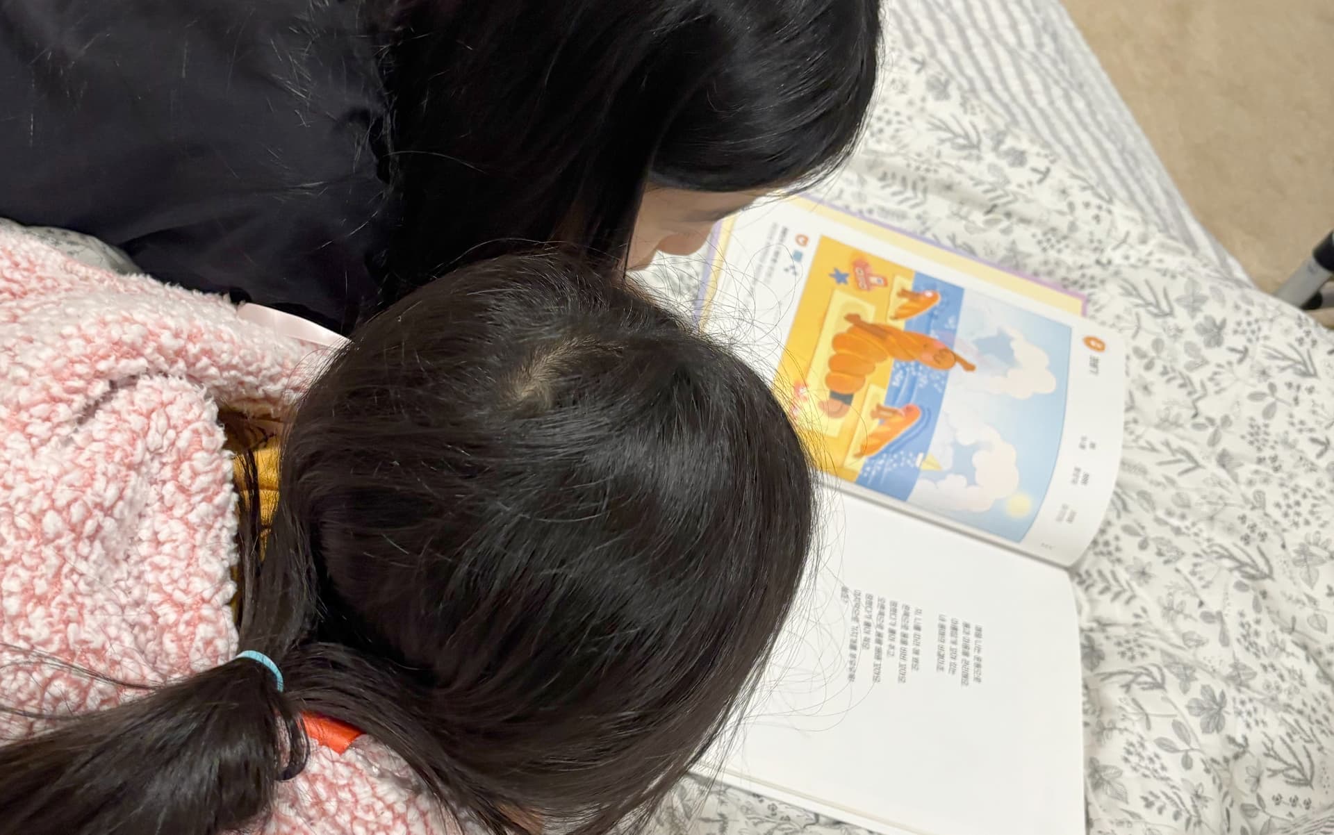 The Fox, the Storm, and the Bread Bowl