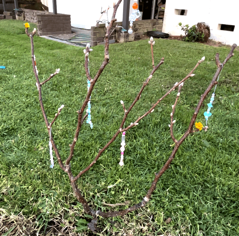 A Bead Tree in Winter — photo 5