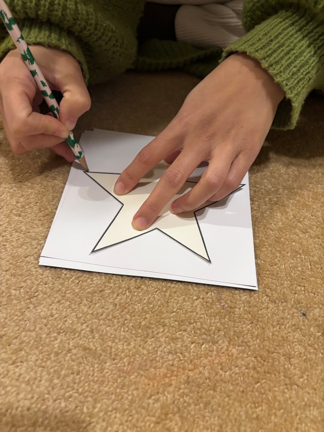 Matariki in the House — photo 1
