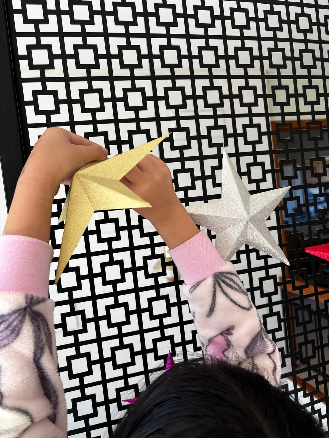 Matariki in the House — photo 3